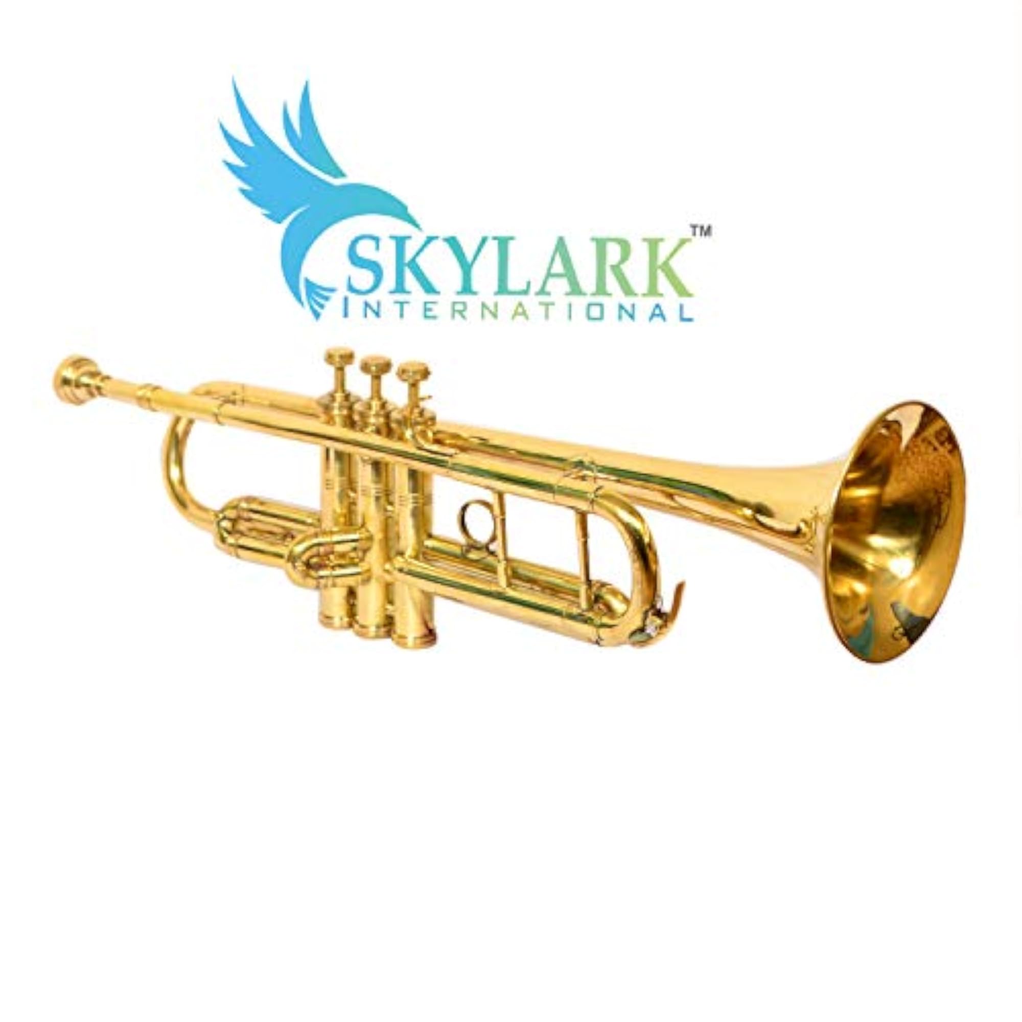 Brass Bb Trumpet with Hard Case and Mouthpiece